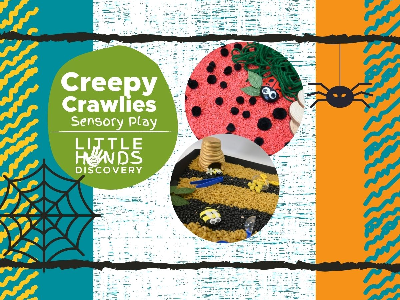 Creepy Crawlies Sensory Play (12 months -6 Years)
